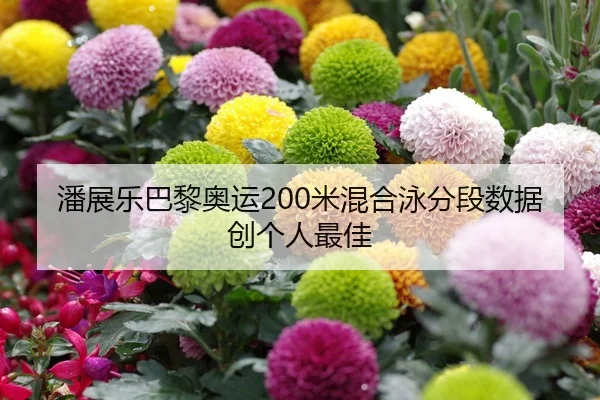 pan-zhan-le-ba-li-ao-yun-mi-hun-he-yong-fen-duan-shu-ju-chuang-ge-ren-zui-jia-1-173.jpg