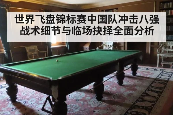 世界飞盘锦标赛中国队冲击八强战术细节与临场抉择全面分析